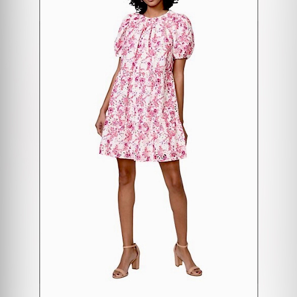Greylin Eyelet Embroidered Floral Mini Dress - Size Medium